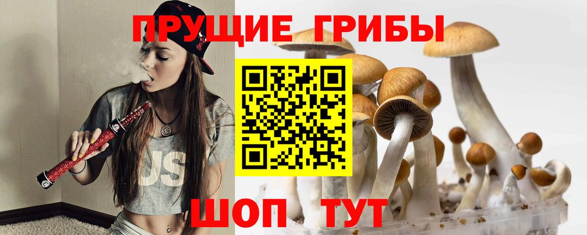 Павлово  Псилоцибиновые грибы Psilocybe  купить наркоту  Вход с VPN 